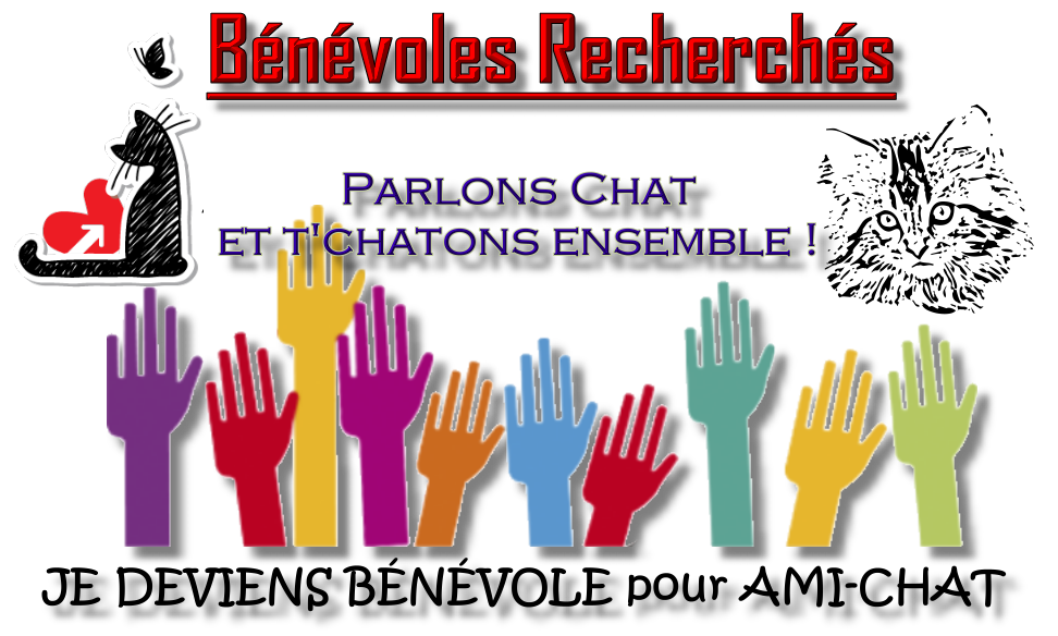 BÉNÉVOLES RECHERCHÉS: Ami-Chat ÉTHIQUE FÉLINE ST-COLOMBAN recherche des bénévoles ET DES DONS